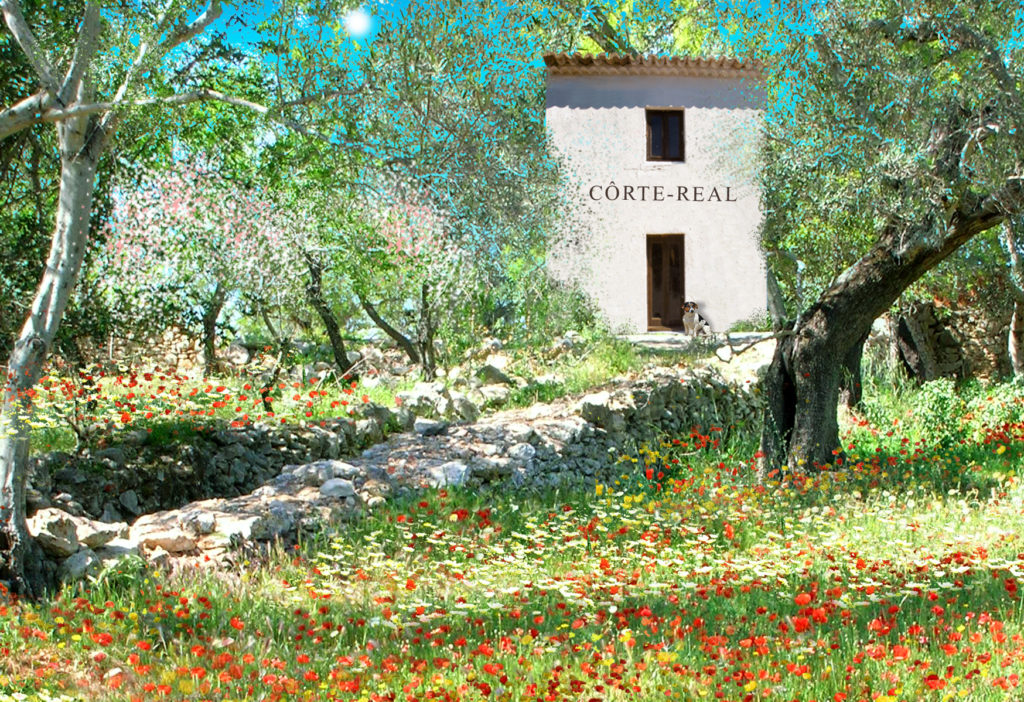 Côrte-real Gallery